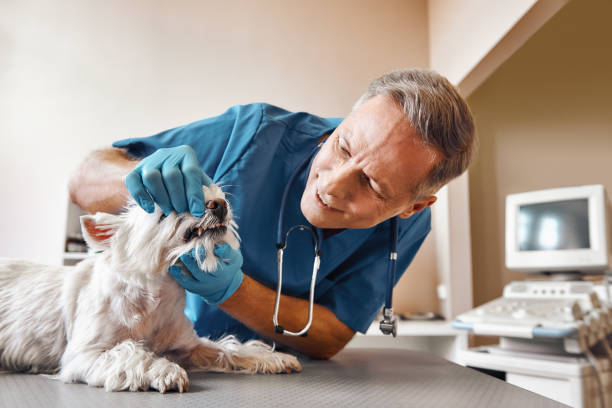 Best Emergency Root Canal Treatment in Derby, KS
